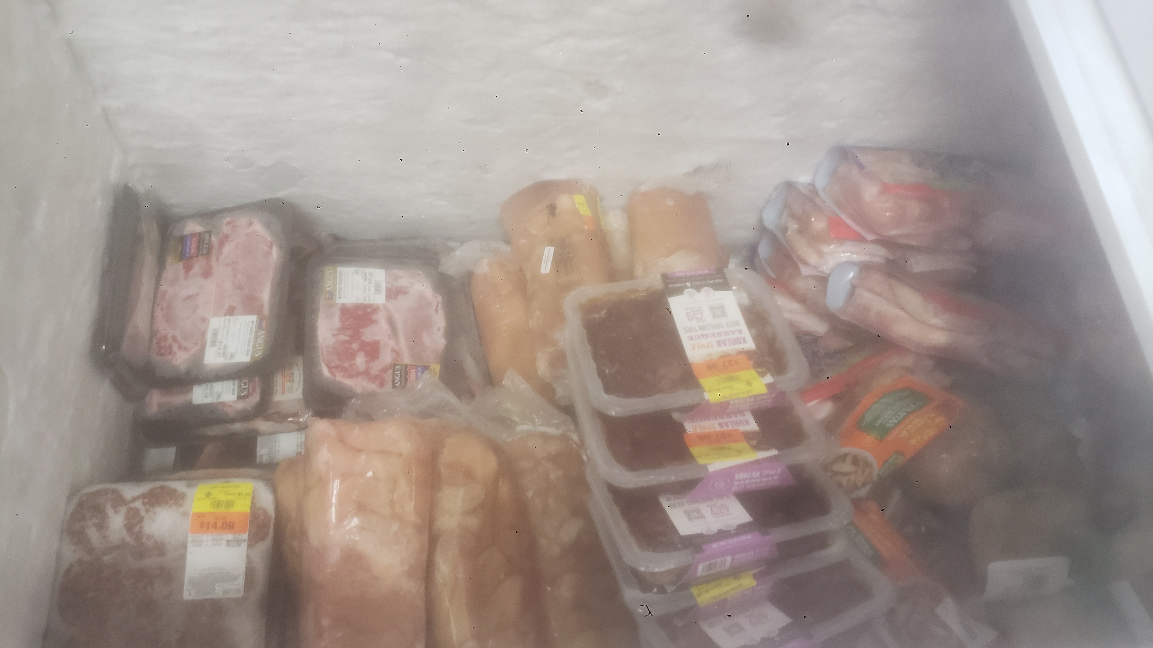Various meats in a chest freezer.